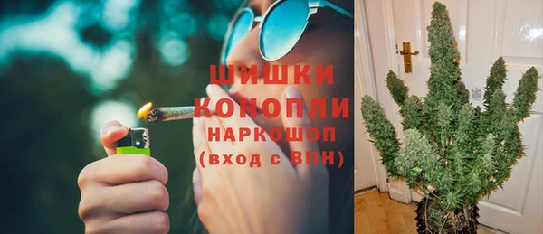 крисы Баксан