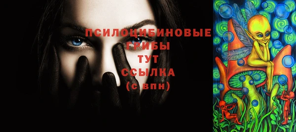 крисы Баксан