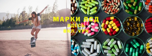 крисы Баксан