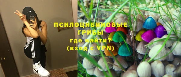 крисы Баксан