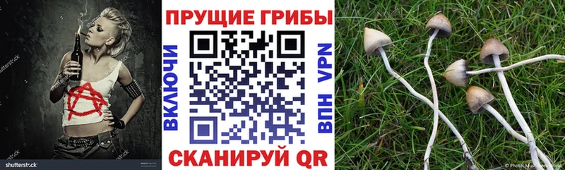 blacksprut онион  Нерюнгри  Галлюциногенные грибы MAGIC MUSHROOMS 