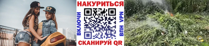 Бошки Шишки конопля  Нерюнгри 